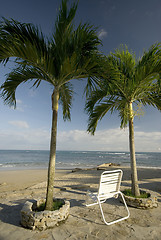 Image showing chair by the beach tropical island