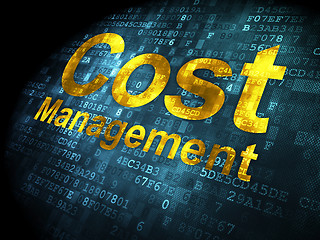 Image showing Finance concept: Cost Management on digital background