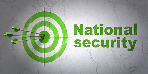 Image showing Privacy concept: target and National Security on wall background