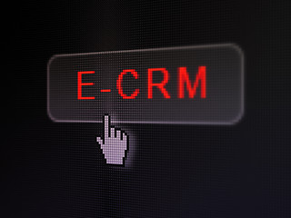 Image showing Business concept: E-CRM on digital button background