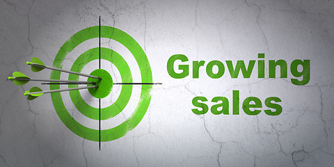 Image showing Finance concept: target and Growing Sales on wall background