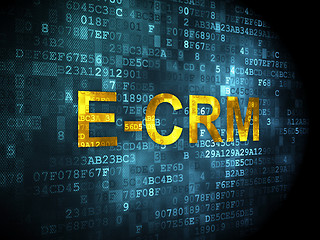 Image showing Business concept: E-CRM on digital background