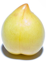 Image showing yellow sungold plums