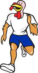 Image showing Turkey Run Runner Front Cartoon 