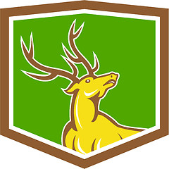 Image showing Stag Deer Looking Up Shield Cartoon
