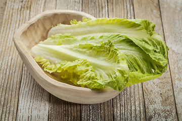 Image showing romaine lettuce