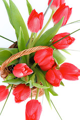 Image showing Spring Tulips