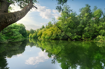 Image showing Lake of the woods