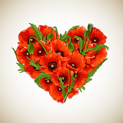 Image showing Flower heart of red poppies.