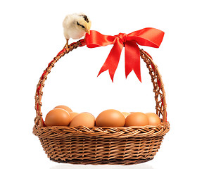 Image showing Chickens with basket