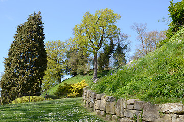 Image showing Landscaped garden in springtime