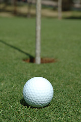 Image showing Ready to putt