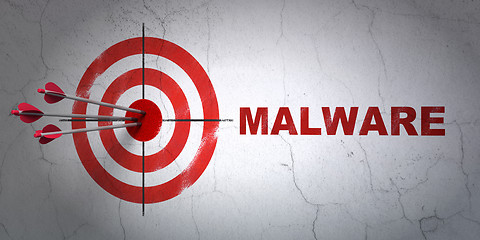 Image showing Safety concept: target and Malware on wall background