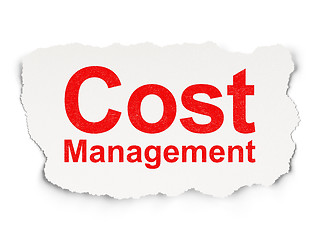 Image showing Finance concept: Cost Management on Paper background