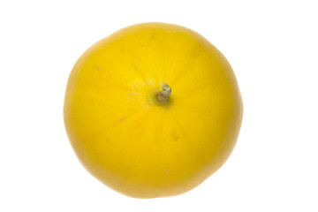 Image showing Top of honey white melon

