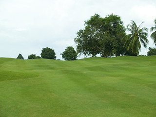 Image showing Undulating fairway