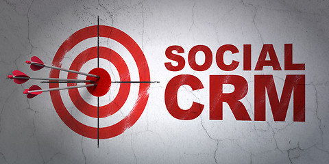 Image showing Business concept: target and Social CRM on wall background