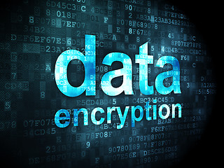 Image showing Privacy concept: Data Encryption on digital background