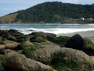 Image showing Rocks on the beach