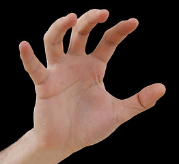 Image showing White hand on black