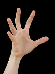 Image showing White hand on black