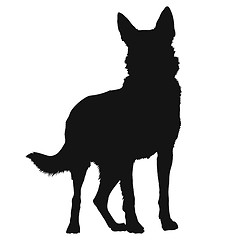 Image showing German Shepherd Silhouette