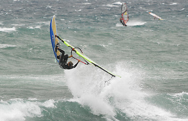 Image showing Windsurfing