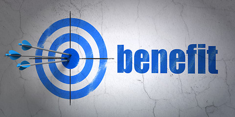Image showing Finance concept: target and Benefit on wall background