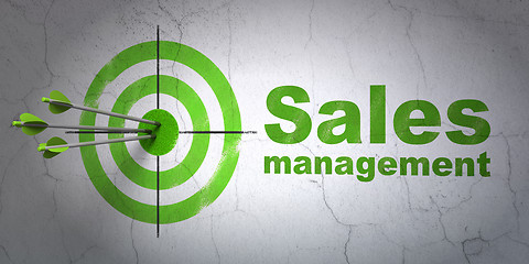 Image showing Advertising concept: target and Sales Management on wall