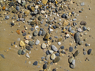 Image showing Sand background with sea pebbles