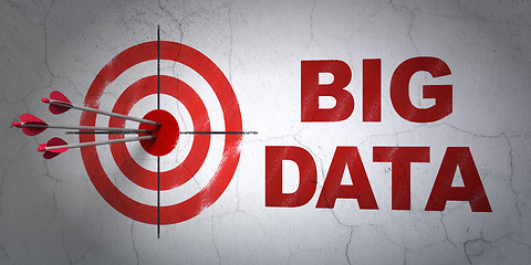 Image showing Data concept: target and Big Data on wall background