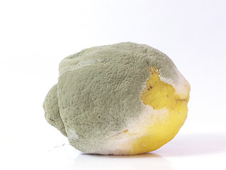 Image showing Rotten Lemon