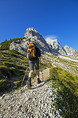 Image showing Hiking