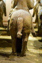 Image showing Horse's Arse