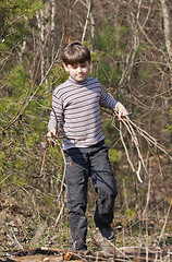Image showing Little boy carrying firewood in a forest