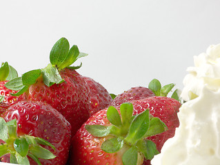 Image showing Strawberries and Cream