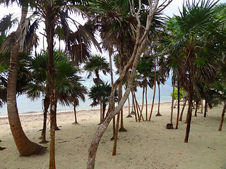 Image showing Soliman Bay