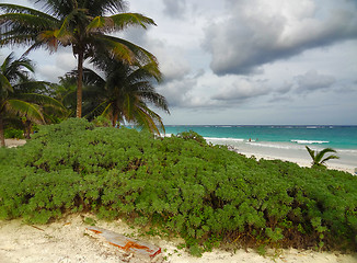 Image showing Playa Paraiso