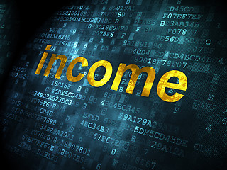 Image showing Business concept: Income on digital background