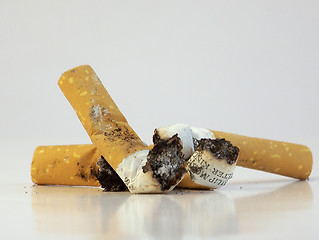 Image showing Cigarette Butts