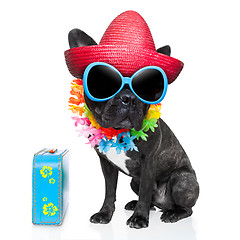 Image showing holiday summer dog