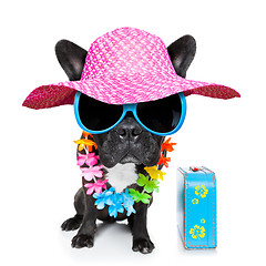 Image showing holiday summer dog