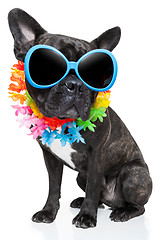 Image showing holiday summer dog