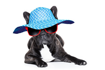 Image showing french  bulldog on holidays