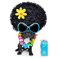 Image showing hippie dog 