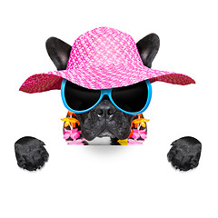 Image showing holiday summer dog