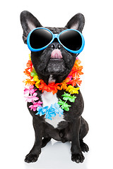 Image showing holiday summer dog