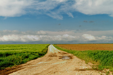 Image showing Landscape