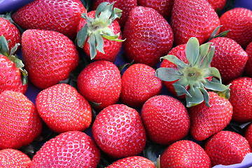 Image showing Strawberries