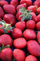 Image showing Strawberries